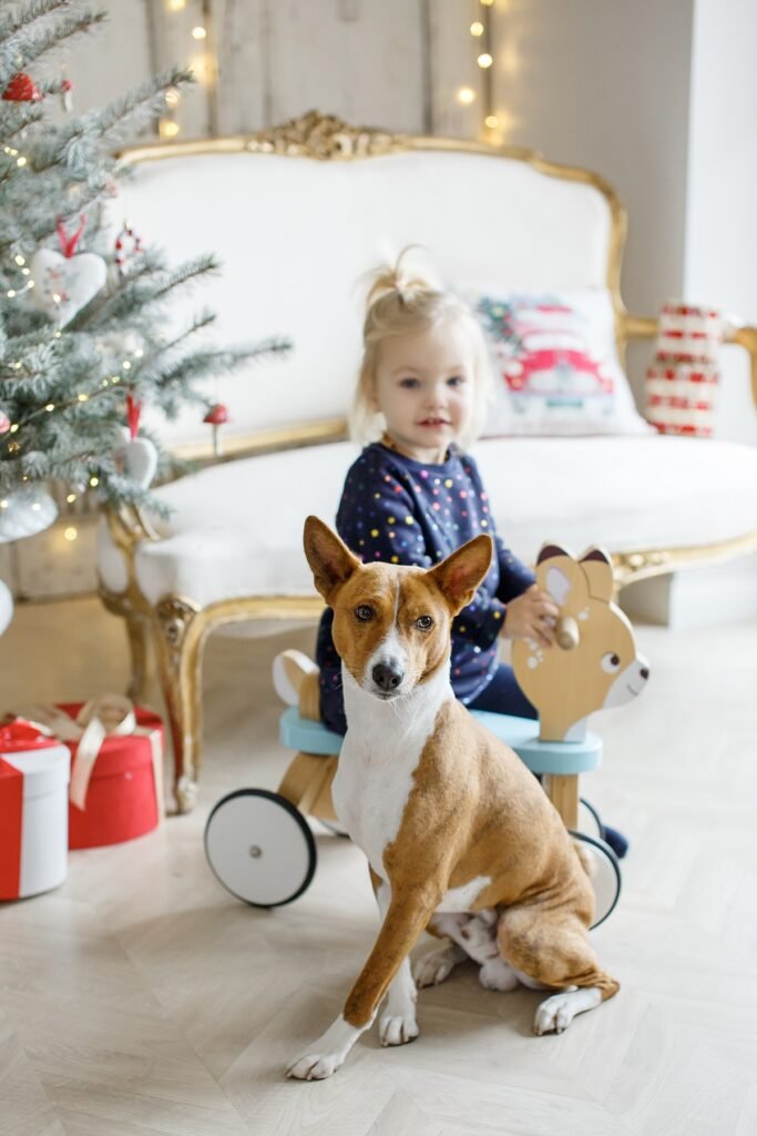kaledos fotosesija su suniu